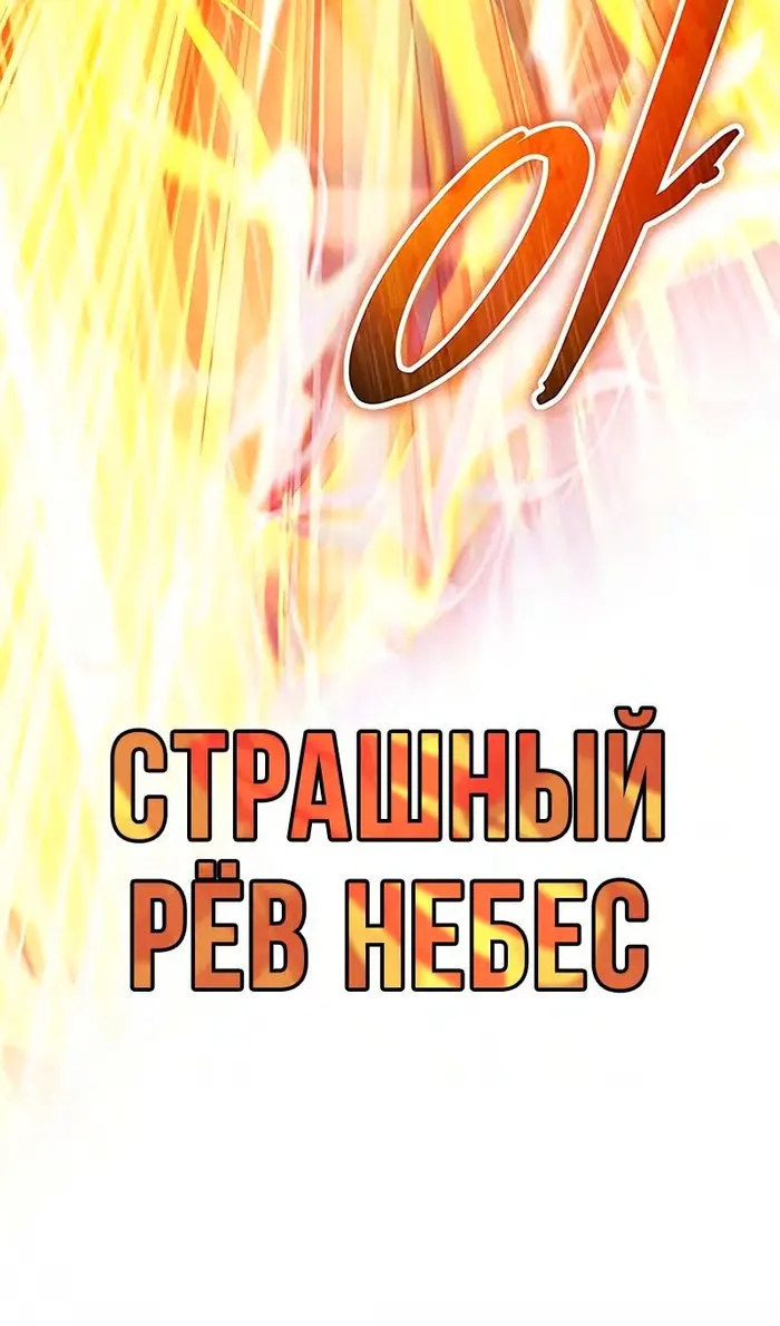 Страница 117