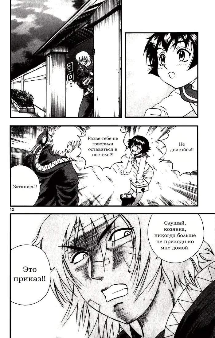 Страница 12