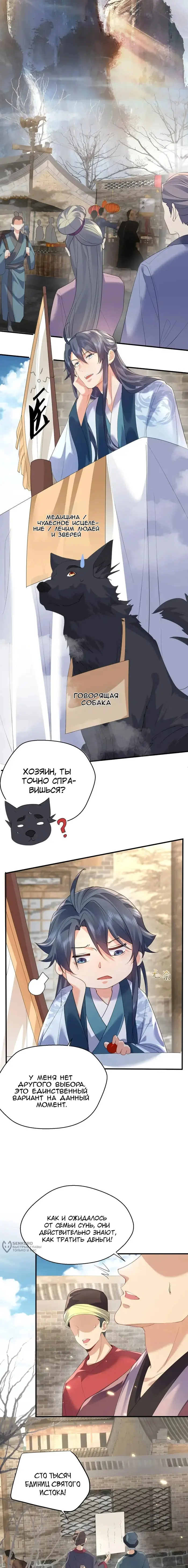 Страница 5