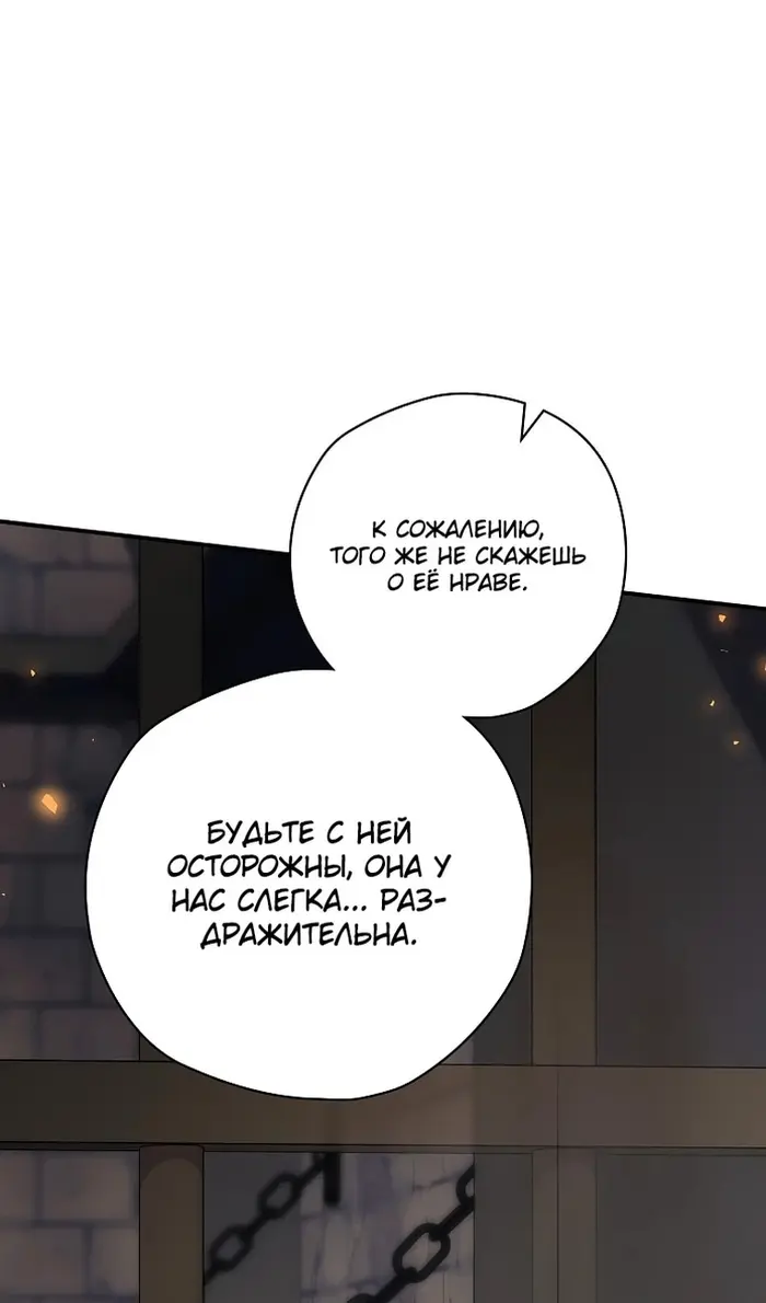Страница 102