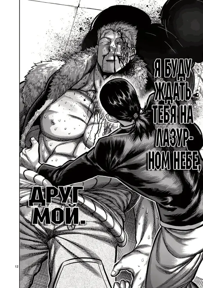 Страница 12