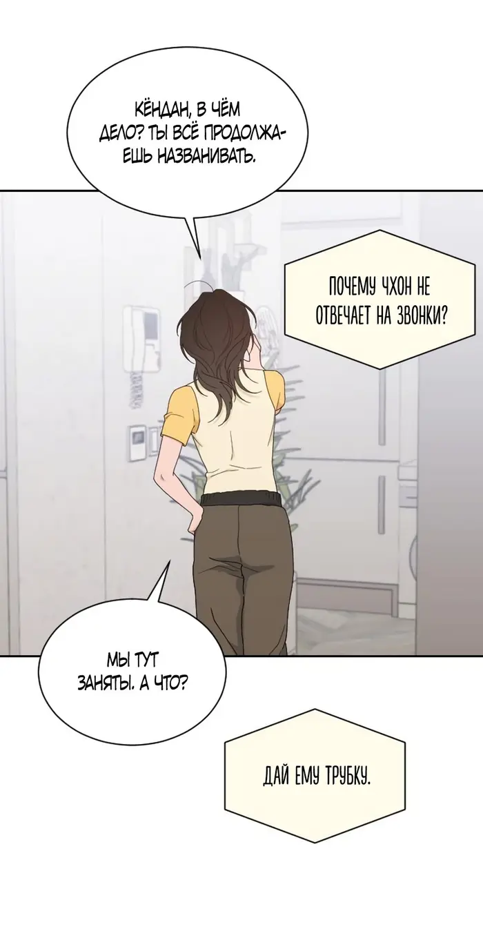 Страница 42