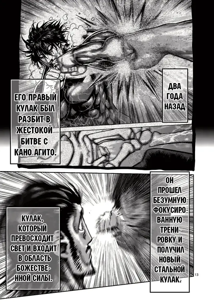 Страница 13