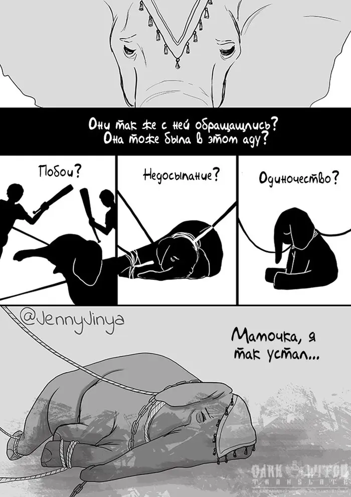 Страница 5