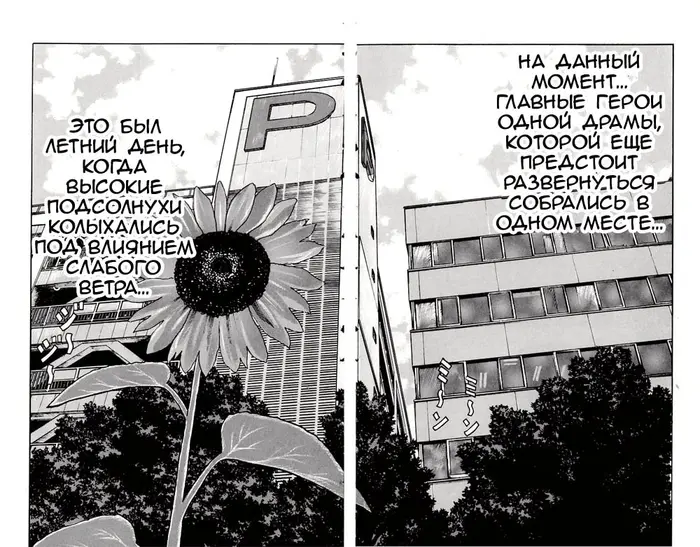 Страница 46
