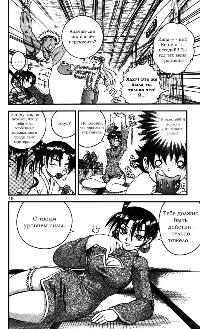 Страница 17