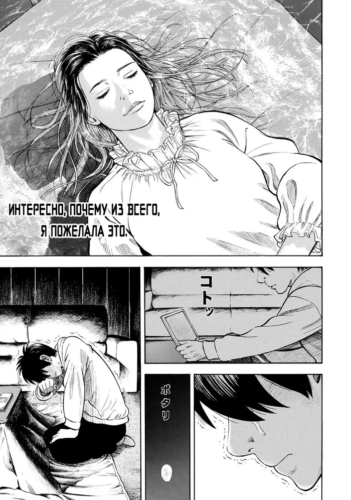Страница 37