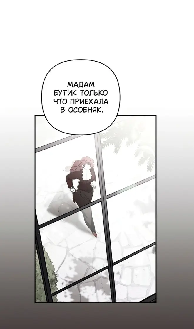 Страница 55