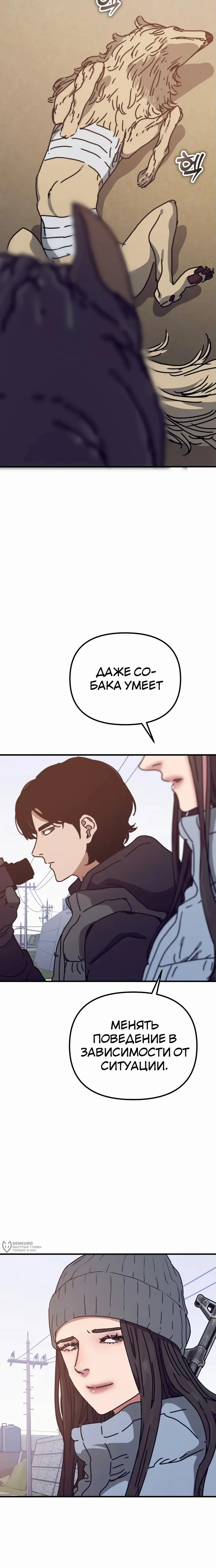 Страница 29