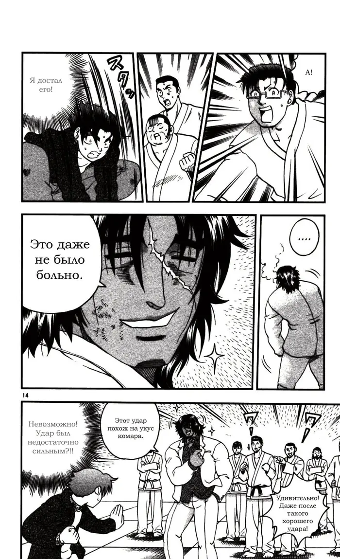 Страница 14
