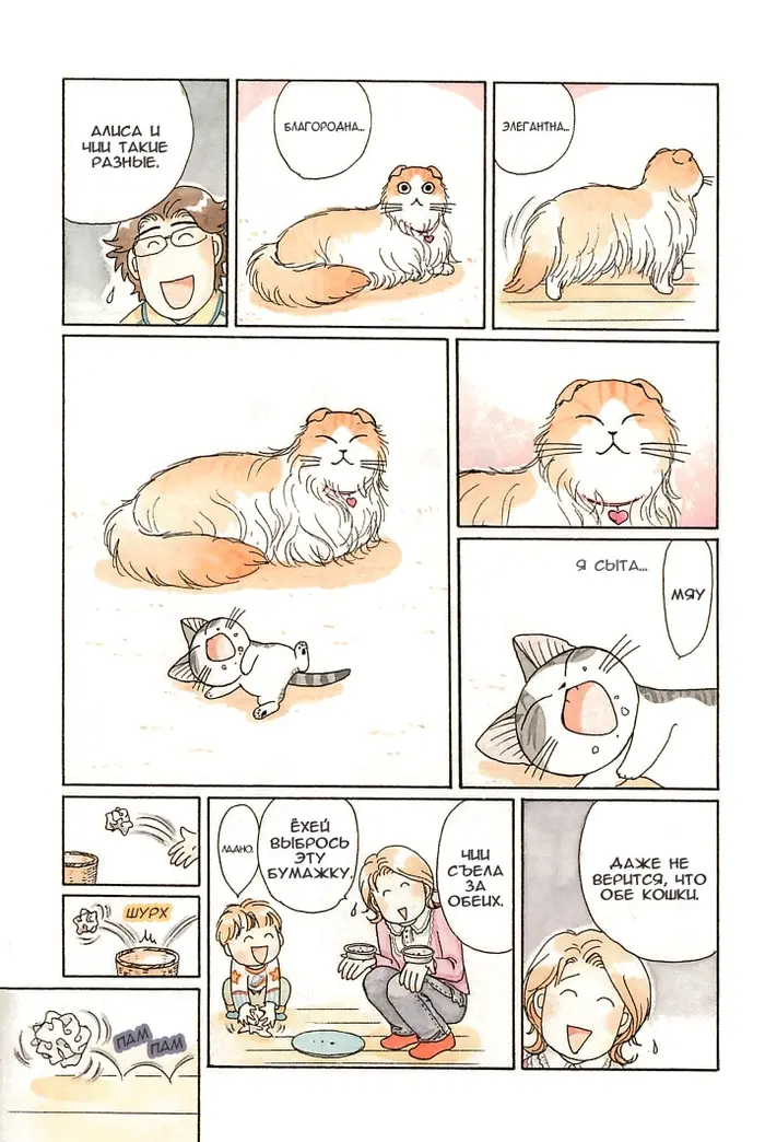 Страница 12