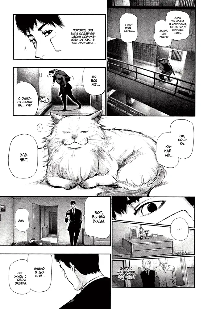 Страница 17