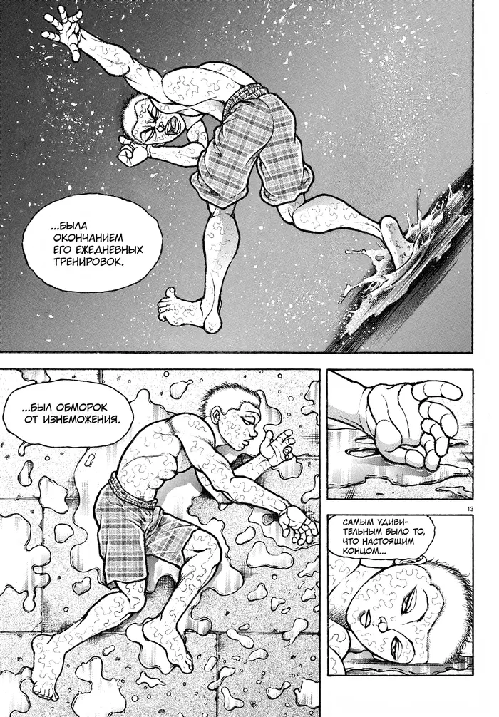 Страница 13