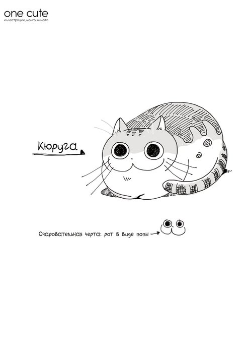 Вечный котёнок