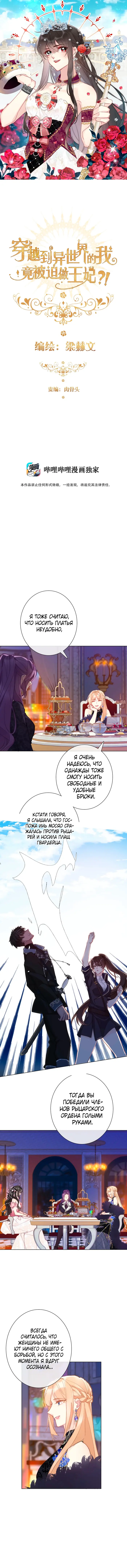 Страница 1