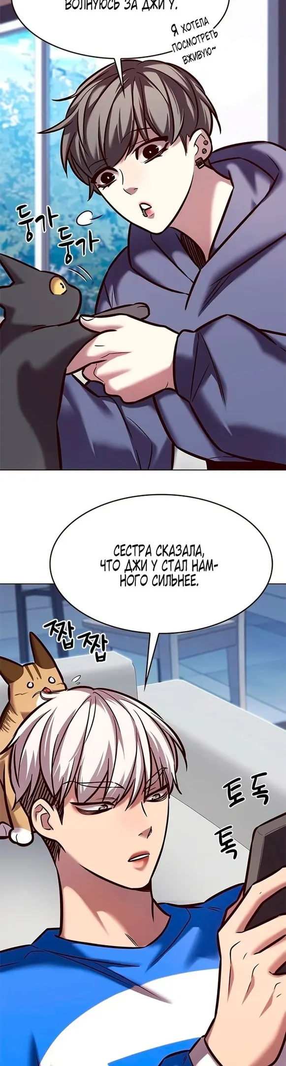 Страница 23