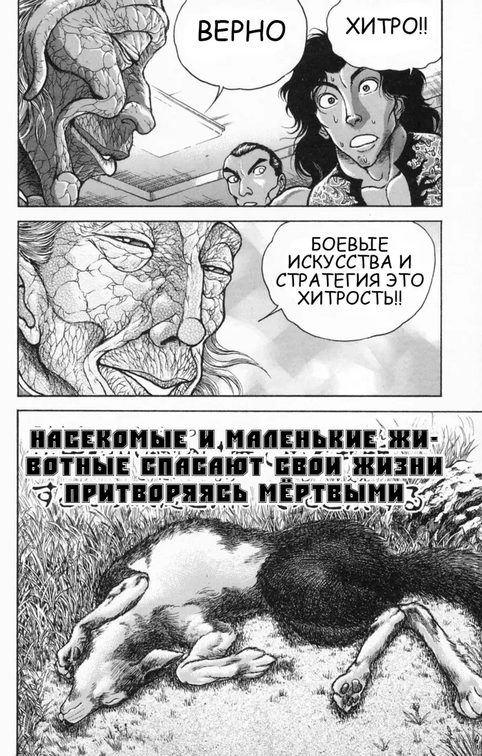 Страница 34