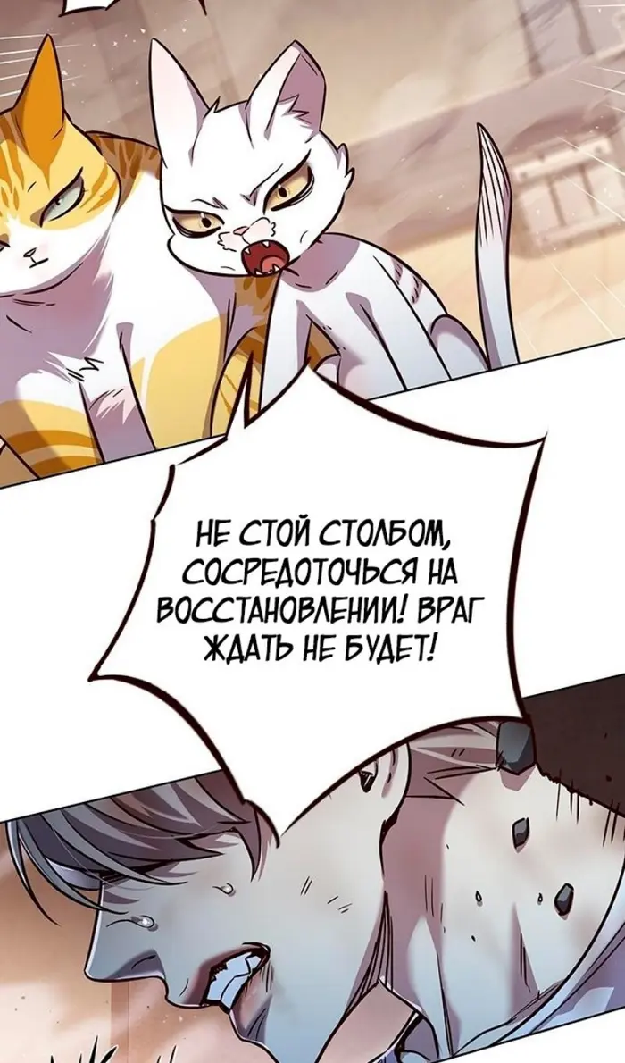 Страница 73