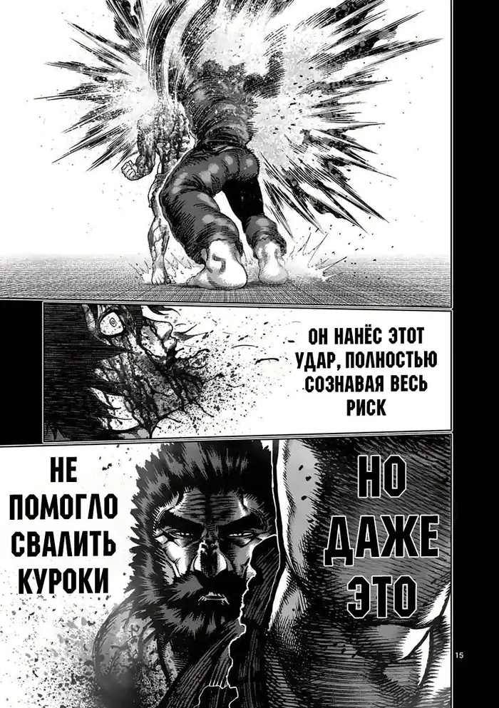 Страница 15
