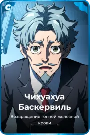 Чихуахуа Баскервиль