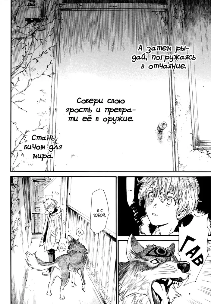 Страница 14
