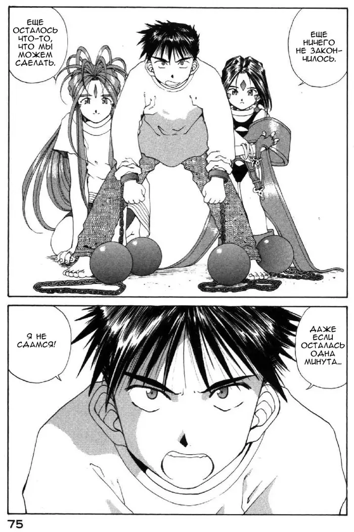 Страница 5