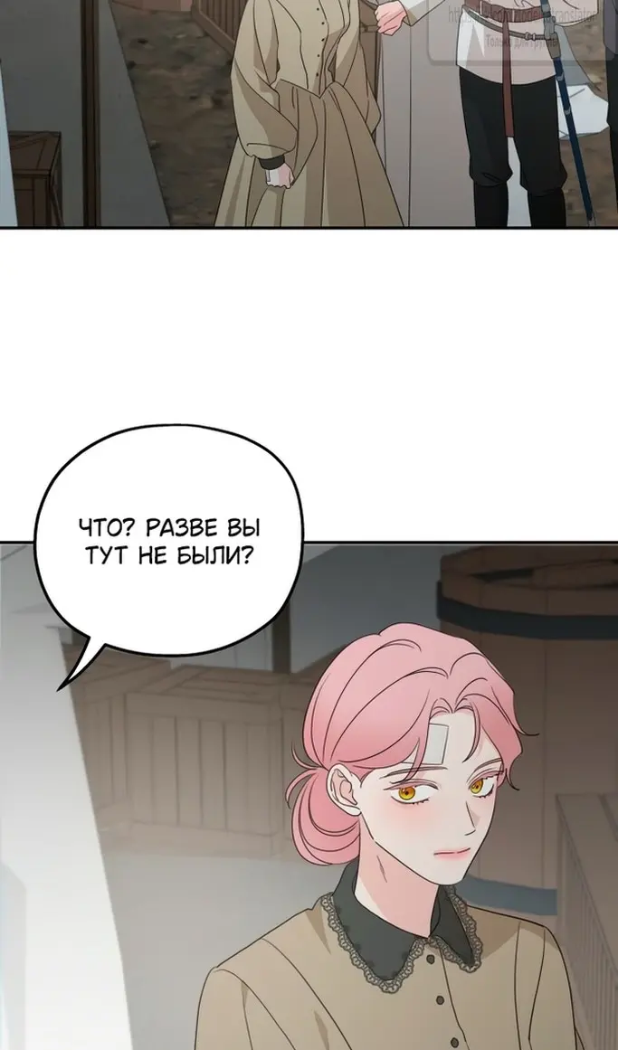 Страница 46
