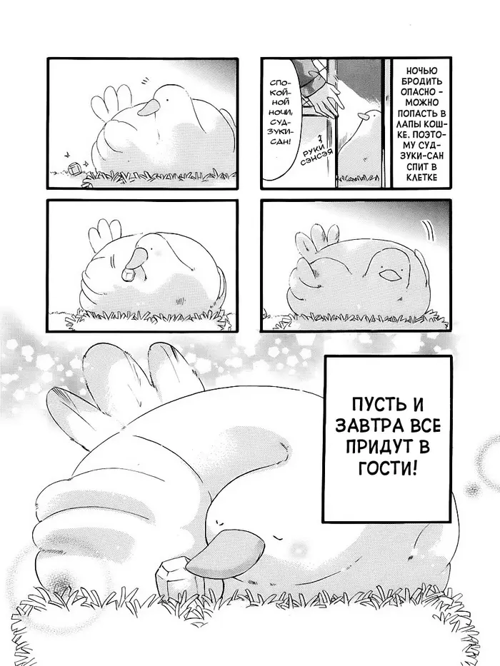 Страница 6