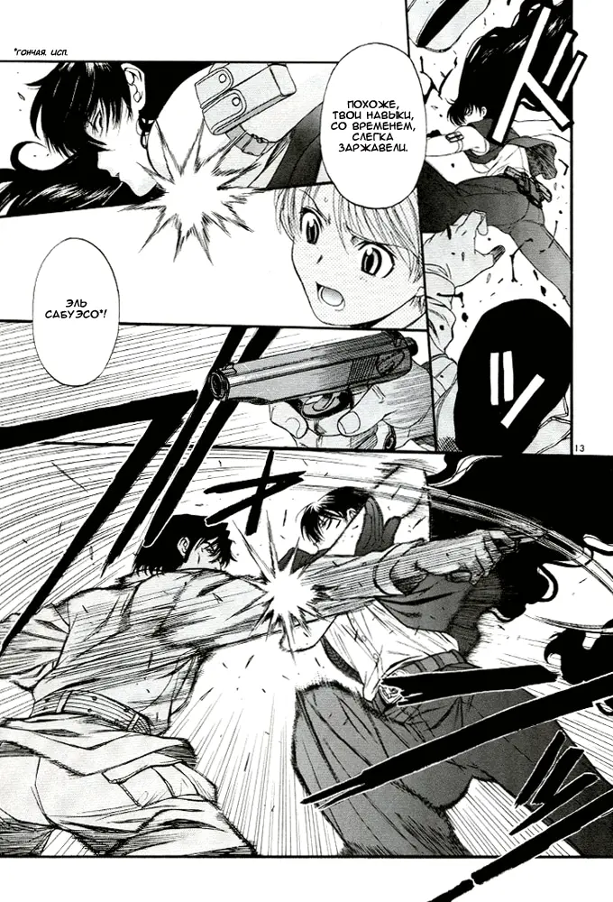 Страница 13