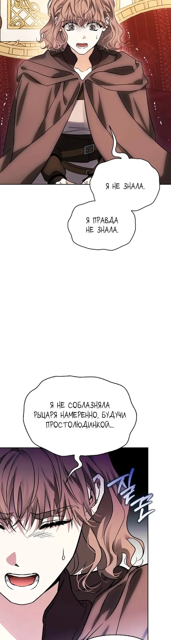 Страница 40