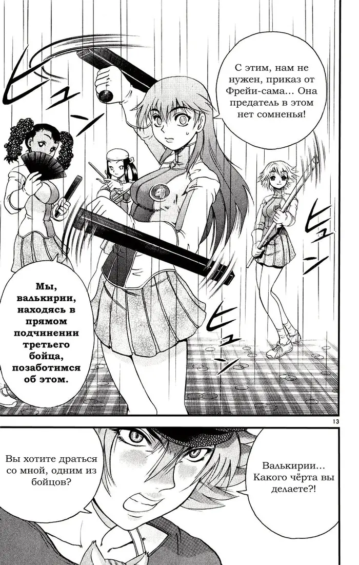 Страница 13