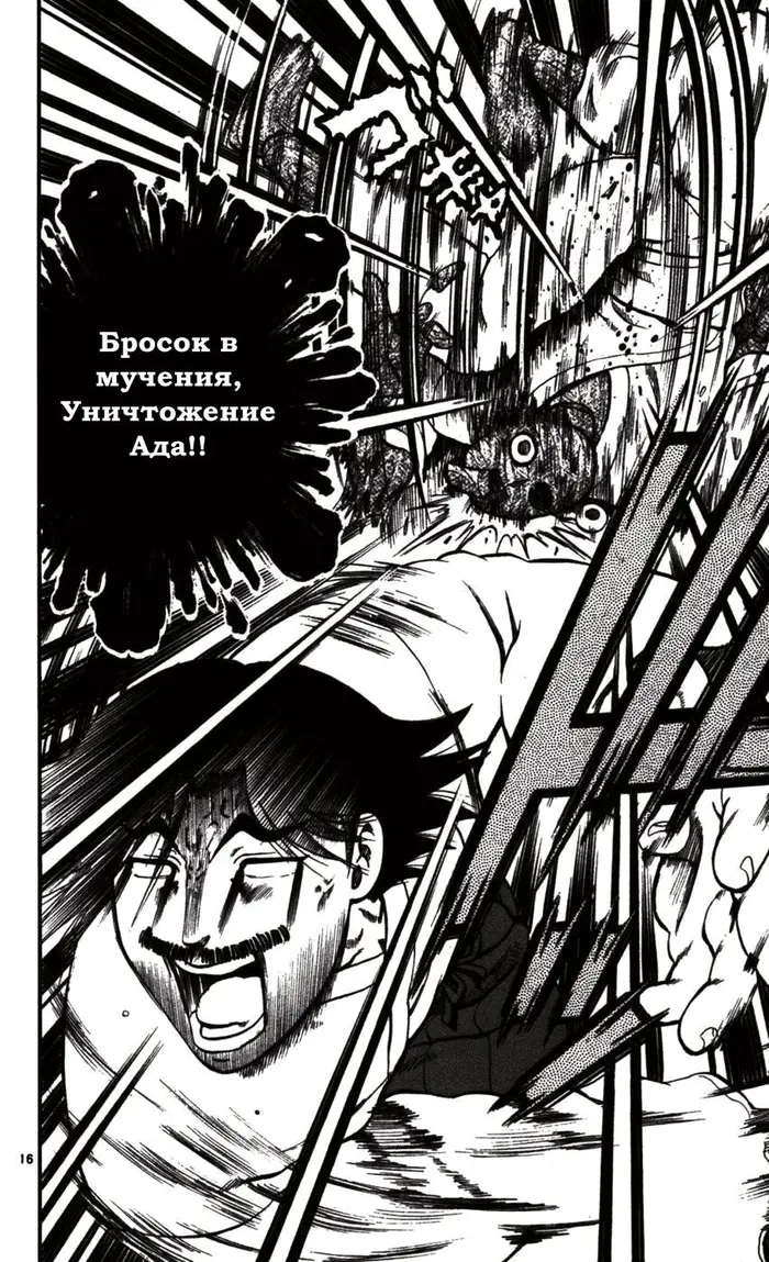 Страница 17