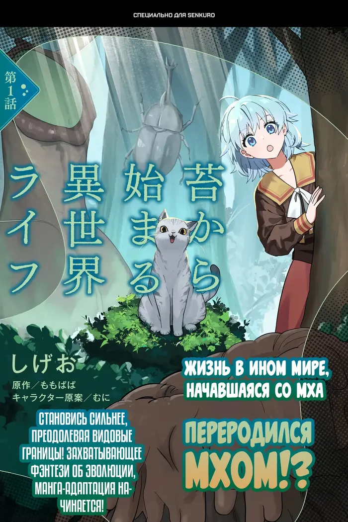 Страница 1