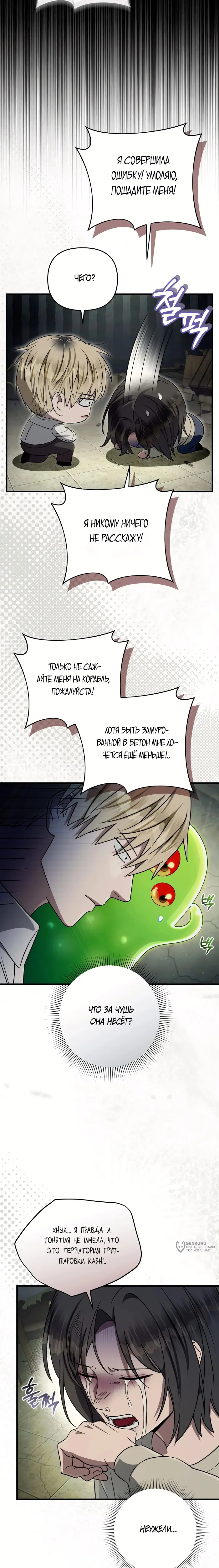 Страница 17