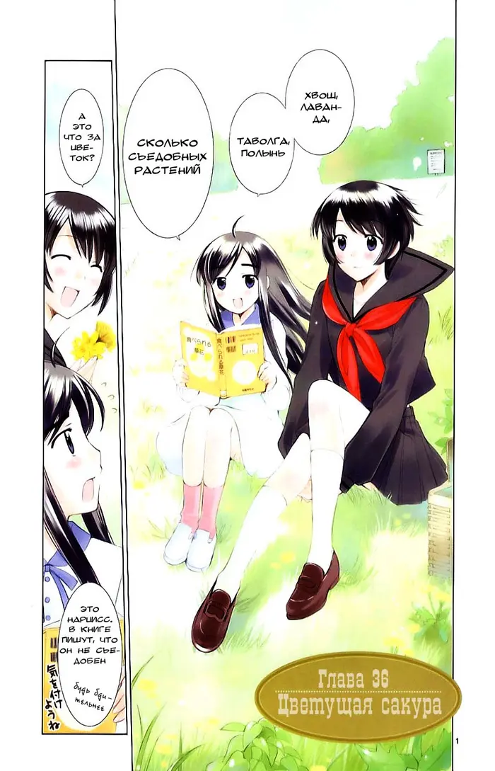 Страница 1