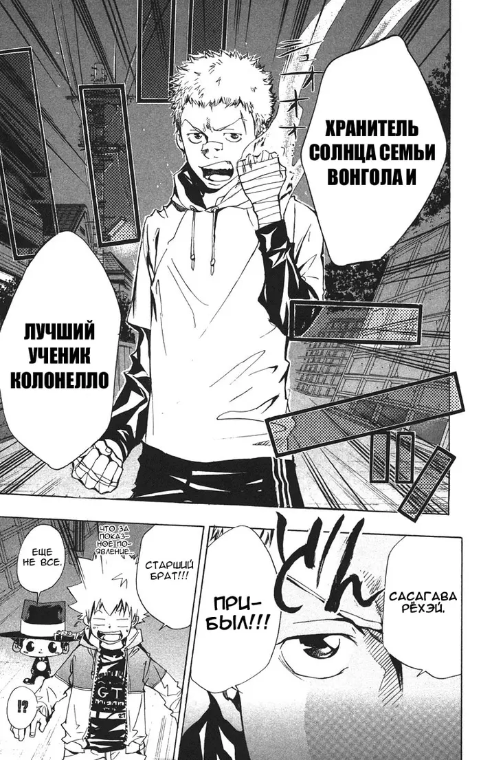 Страница 17