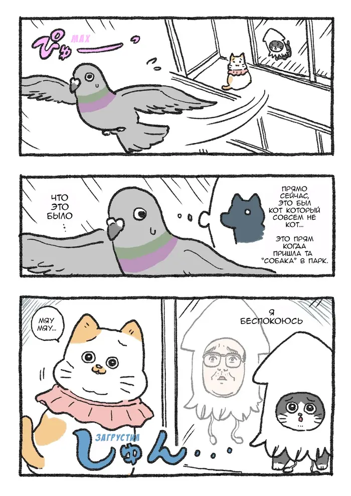 Страница 1