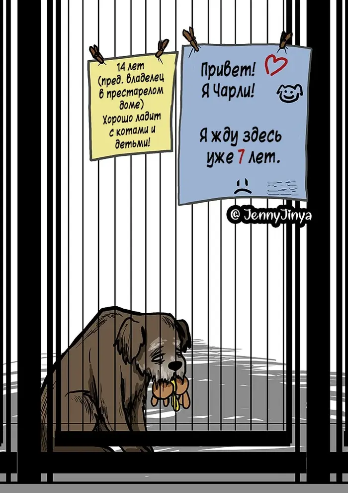 Страница 4