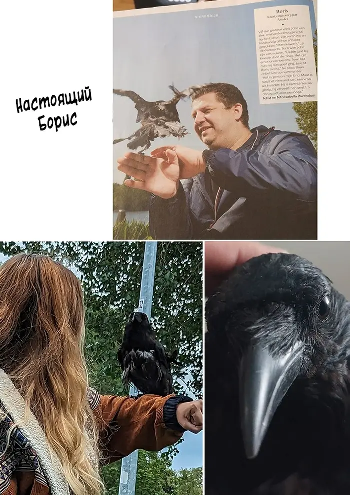 Страница 9