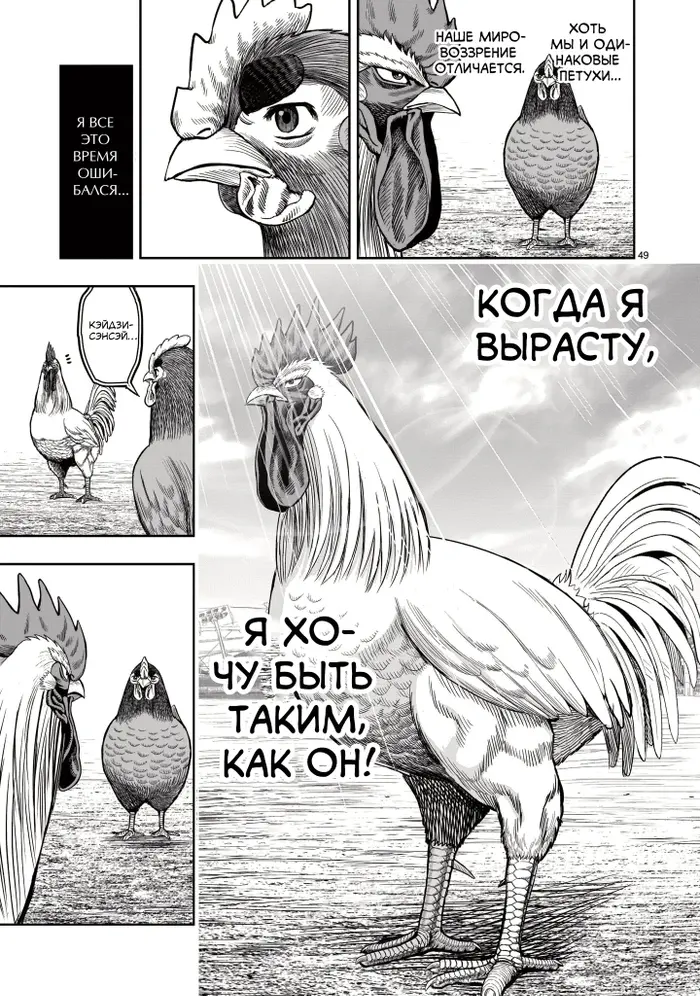 Страница 48