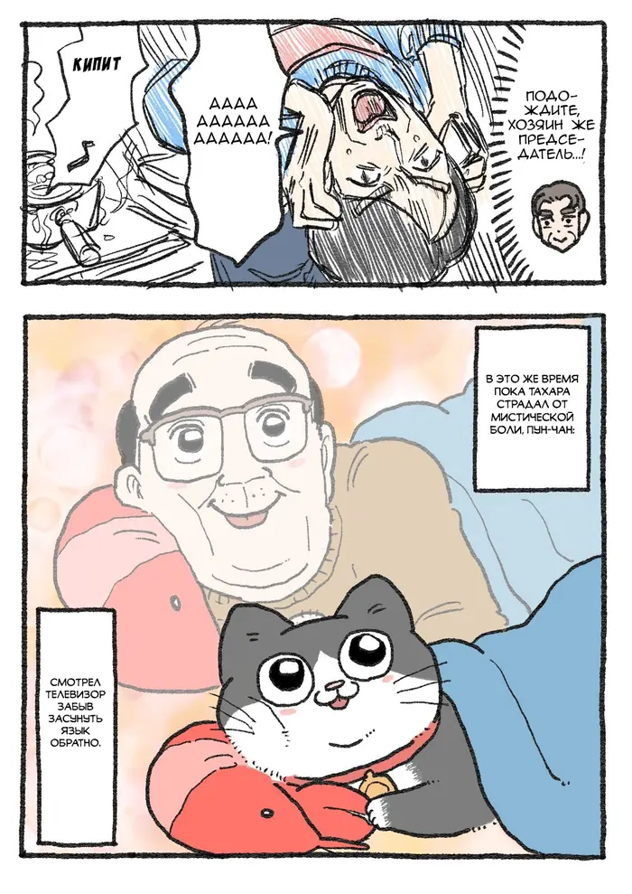 Страница 2