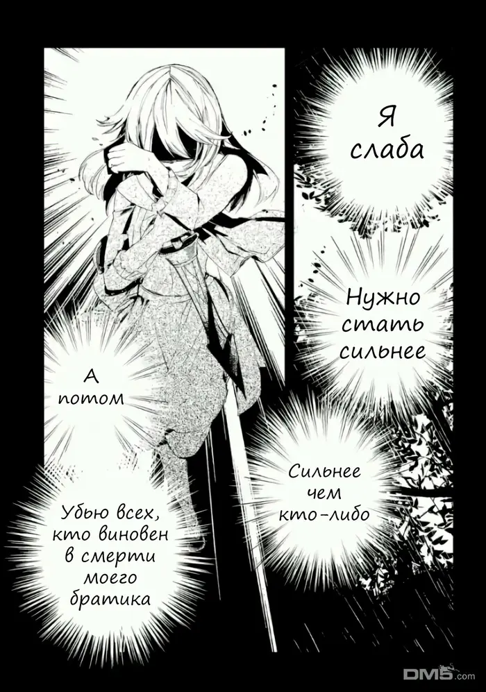 Страница 27
