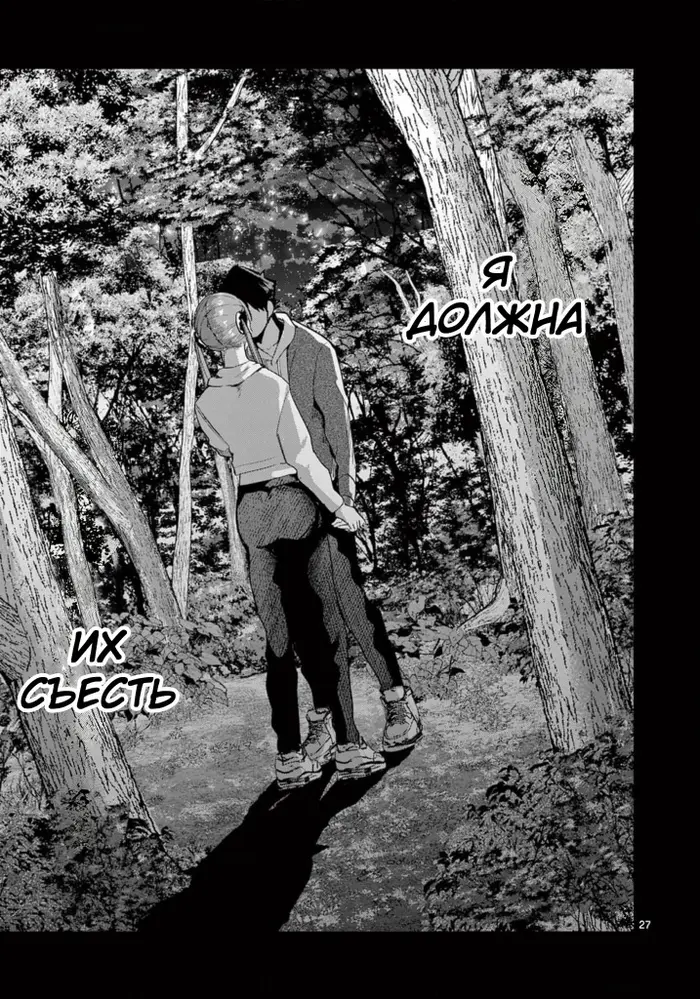 Страница 27