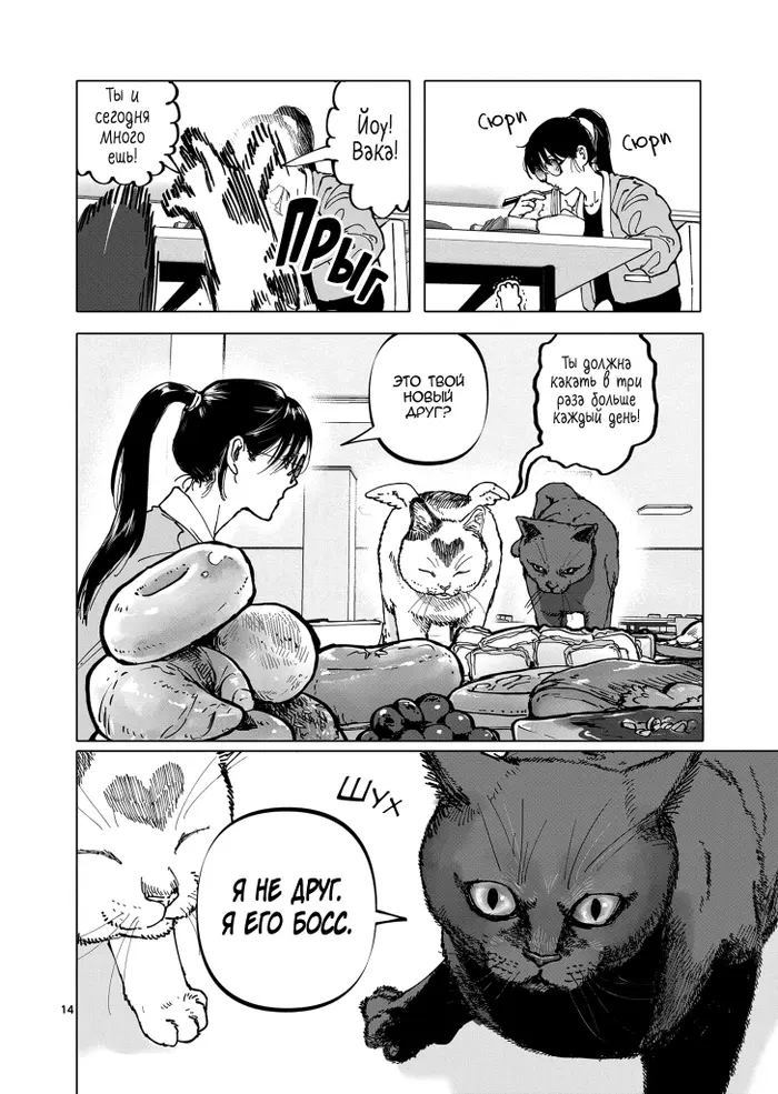 Страница 14