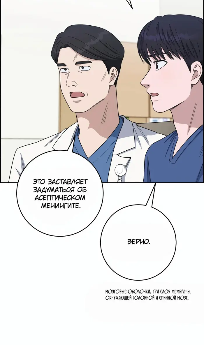Страница 43