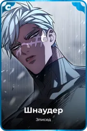 Шнаудер