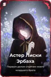 Астер Лиски Эрбаха
