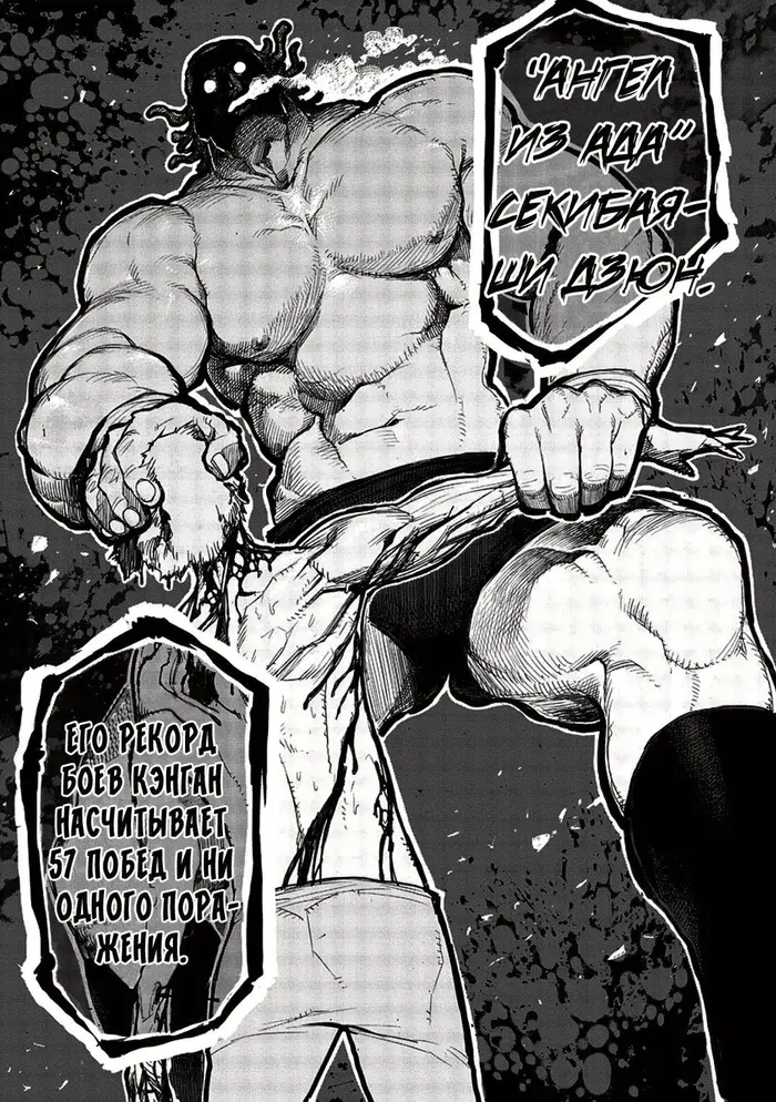 Страница 17