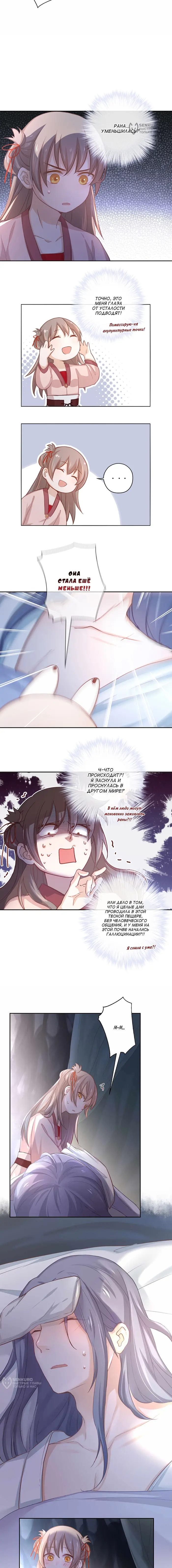 Страница 5