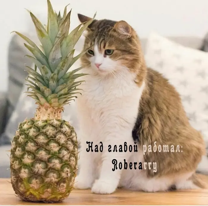 Страница 8